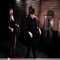 STAGE TUBE: Liza Minnelli Meets Meow Meow & 'The Umbrellas of Cherbourg' Company in t Video